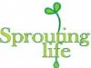 sproutinglife.ca